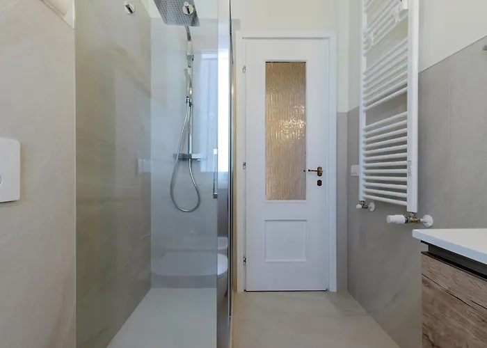 Swan -lago Dei Cigni-