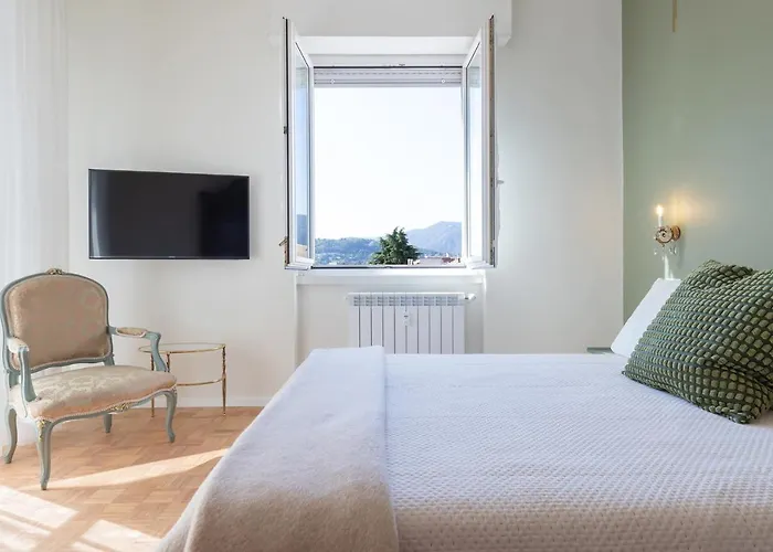 Swan -lago Dei Cigni- Como