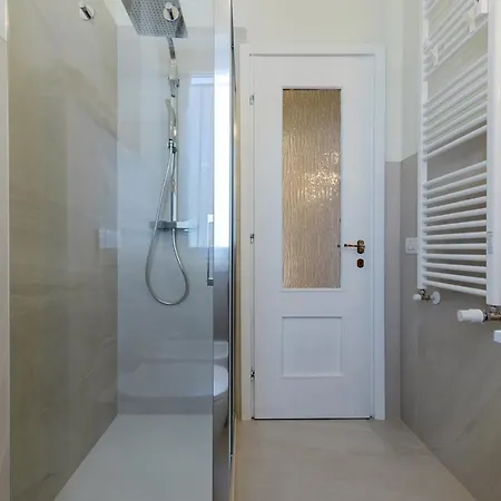 Swan -lago Dei Cigni-