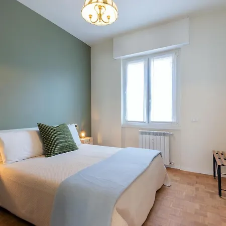 Swan -lago Dei Cigni-