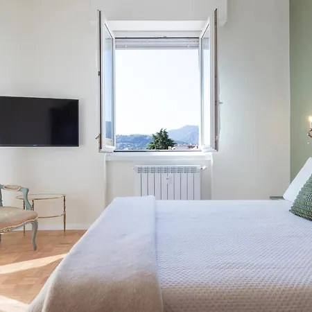 Swan -lago Dei Cigni- Como